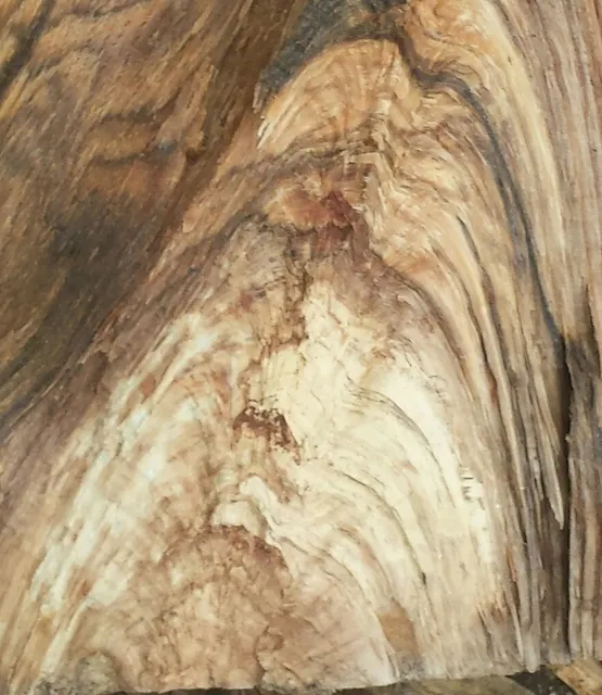 David's Wood & Chair Repair