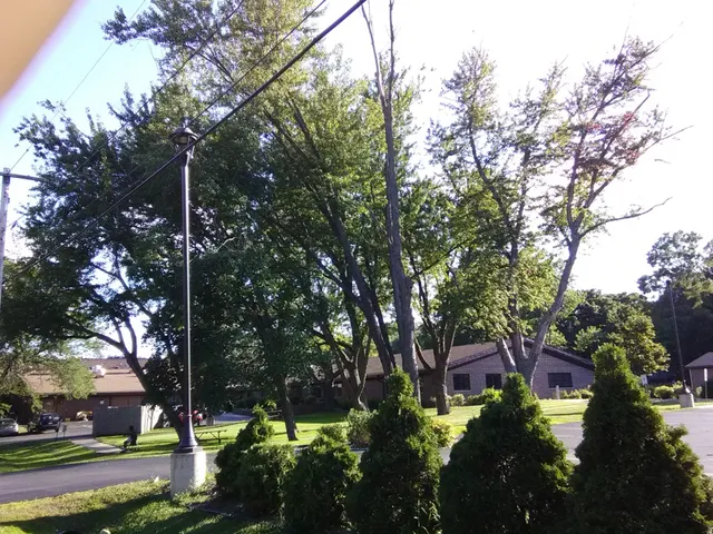 Williams Bay Health Services