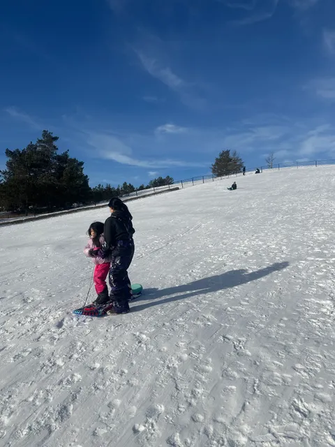 Rundle Park North Toboggan Hill