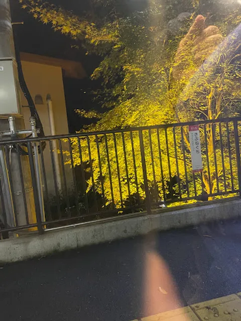 Eizan Electric Railway Co., Ltd.