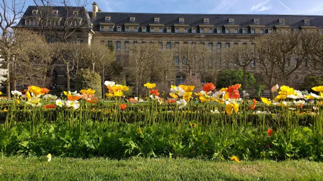 Jardin de roches et de pivoines