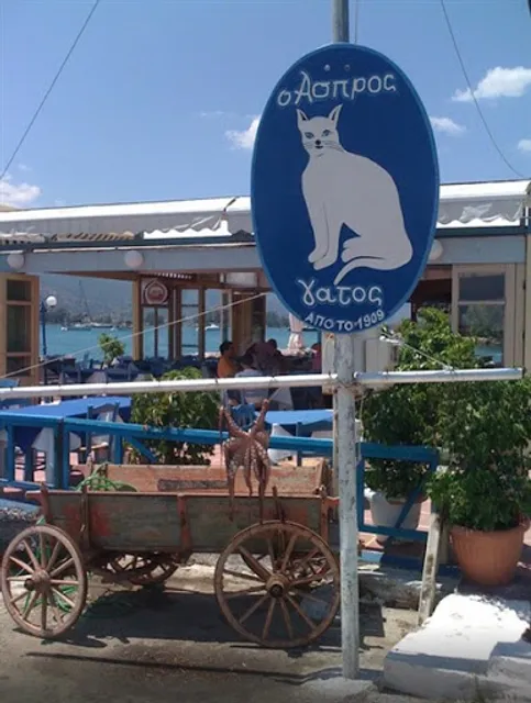 White Cat 1909 Restaurant - Άσπρος Γάτος Εστιατόριο