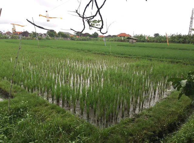 Filadelfia Bali Guest House