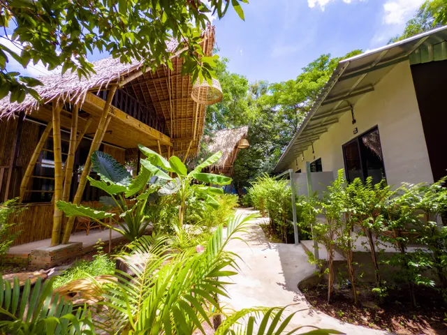 Banyan Tree Hostel