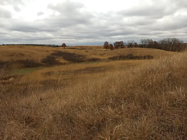 Lost Valley Prairie Scientific and Natural Area (SNA)