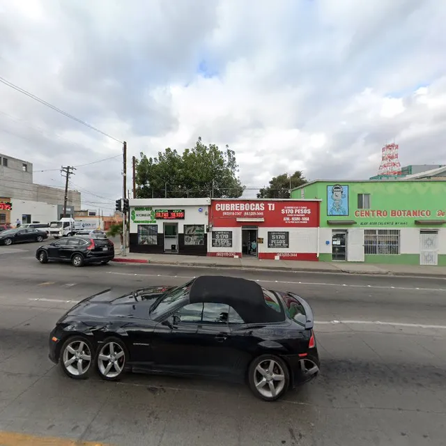 Centro Botanico De Tijuana