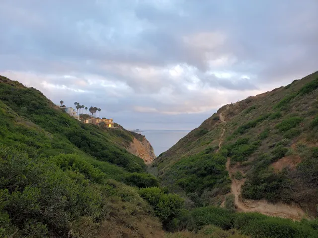 La Jolla Trail