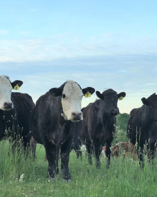 Logan Family Farms, LLC