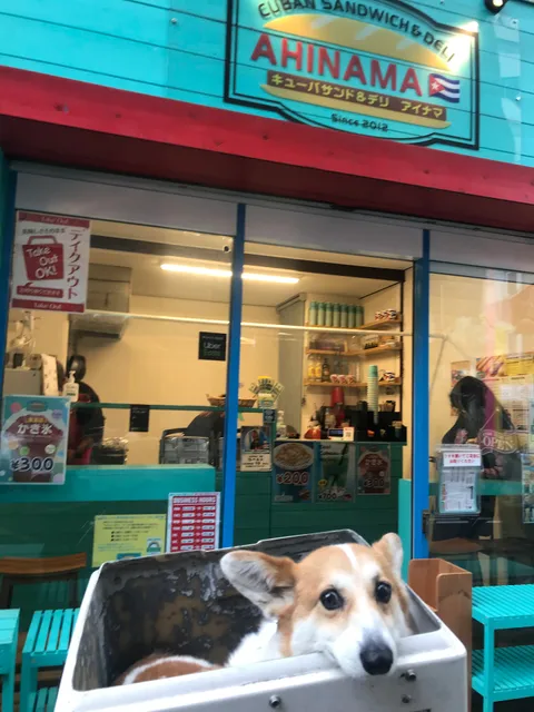キューバサンド & デリ アイナマ上野/ Cuban Sandwich & Deli AHINAMA