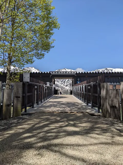 白馬岩岳マウンテンフィールド