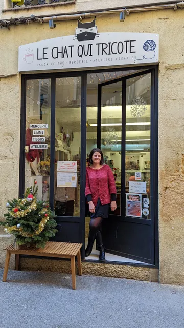 Le Chat Qui Tricote