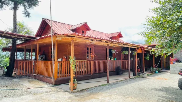 Cabañas "La casa del árbol"