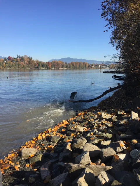Derby Reach Regional Park - Dog Off-leash Area