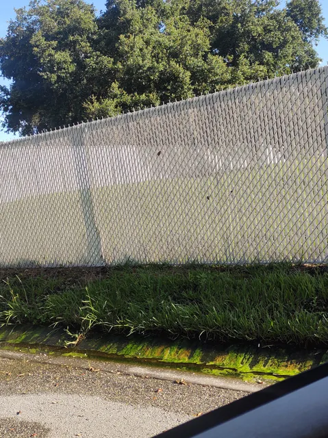 Alafia Riverfront Mobile Home Park