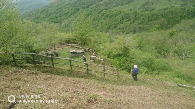 photo-1