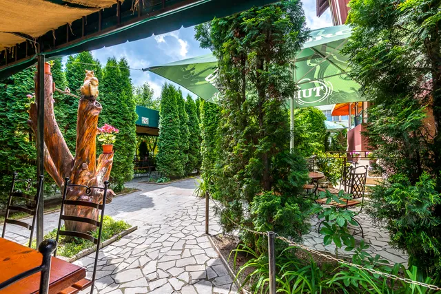 Pensiunea Vila Europa