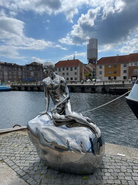 Little Mermaid Brother