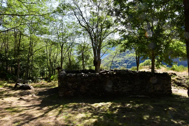 Cementiri de la Teresa