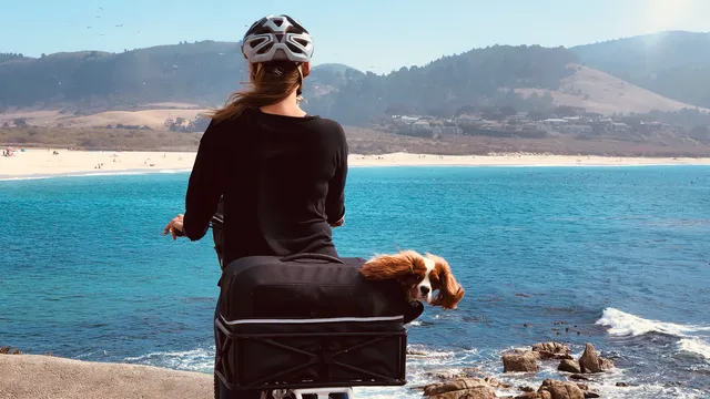 Big Sur Adventures, Cannery Row Monterey