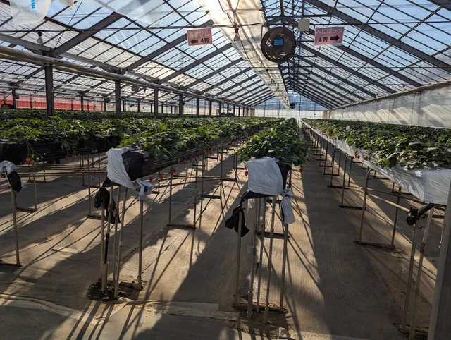 Atsuta Farm (Market)