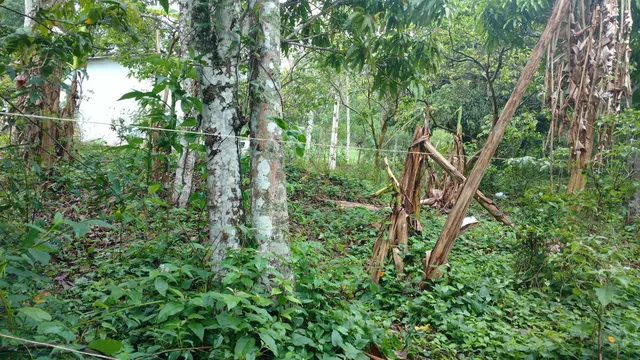 Sítio Brejo das Pedras