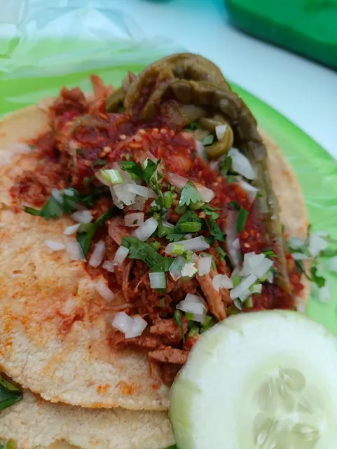 Taquitos de Mixiote Castelan