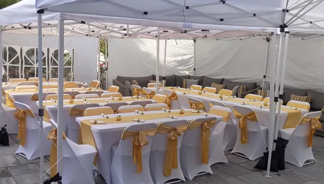 Popular Magic Parties