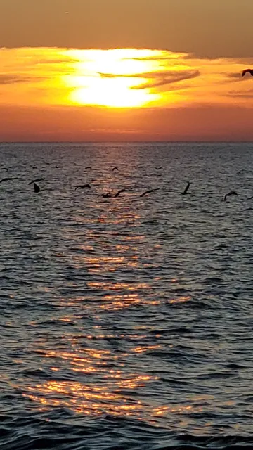 Ocracoke Ferry Terminal