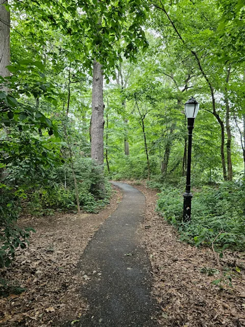 Water Hole Trail Head