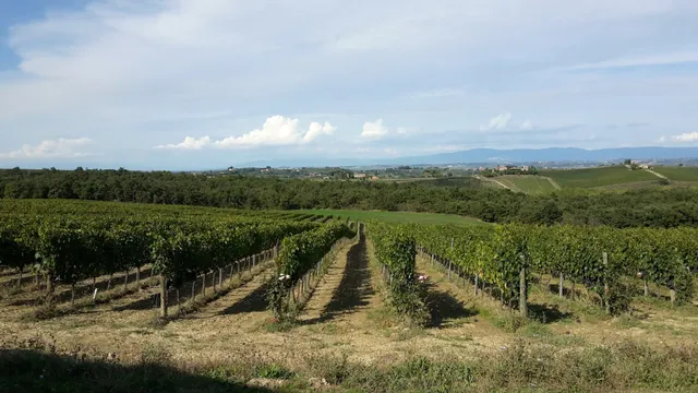 Podere Casa al Vento Wine & Agriturismo