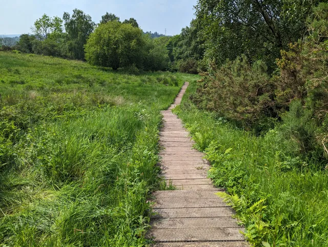 Derwent Walk Country Park - Winlaton Mill