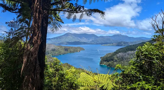 Queen Charlotte Track