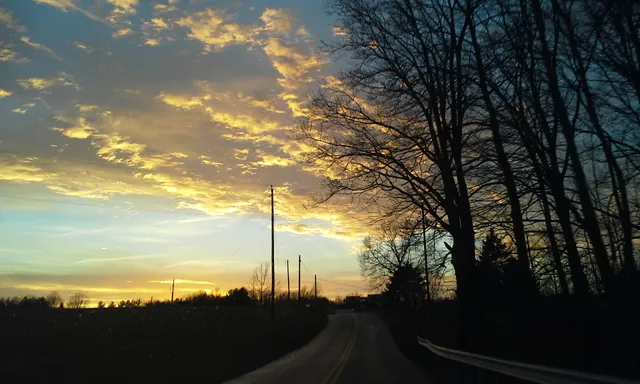 Butterflies And Bouquets