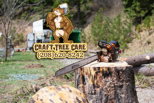 Craft Tree Care