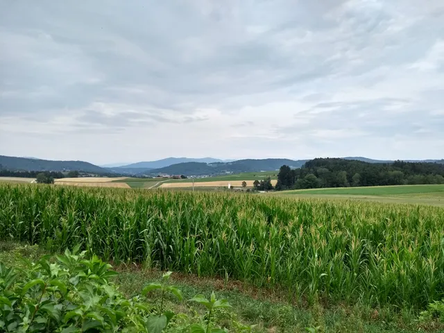 Feriendorf-Appartmentanlage Am Kellerberg