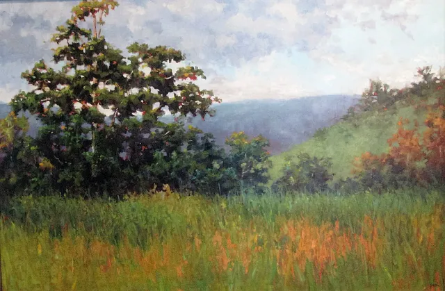 Blowing Rock Frameworks & Gallery