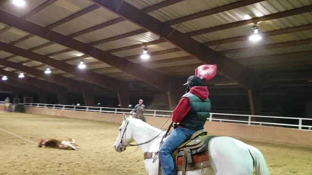 Wade Indoor Arena