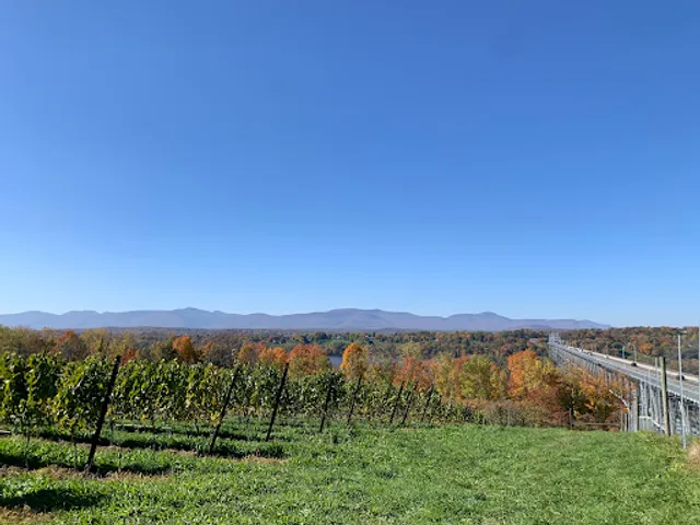 Whitecliff Vineyard at Hudson, NY