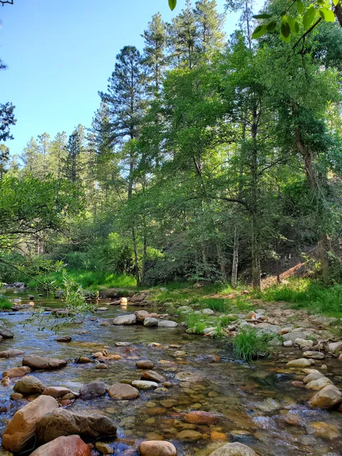 Lower Tonto Creek Campground
