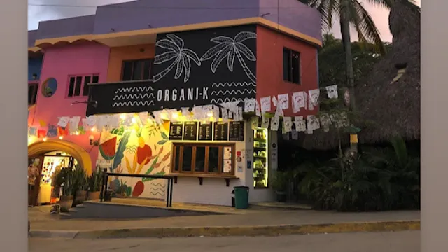 ORGANI-K Sayulita