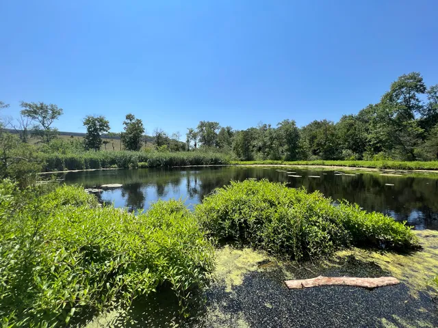 Lost Pond Conservation Area