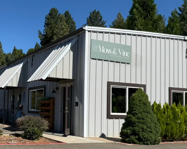 Moss and Vine Studio