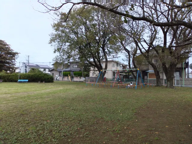 Kasugadai No. 2 Park (Sakura Park)