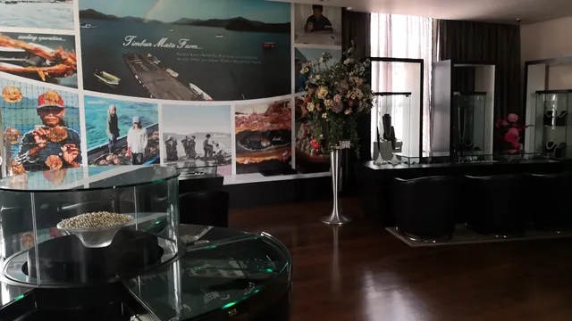 Edward Kong South Sea Pearl 南洋珍珠专卖店