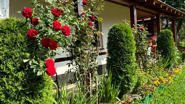 Dacha PODOBOVETS 127