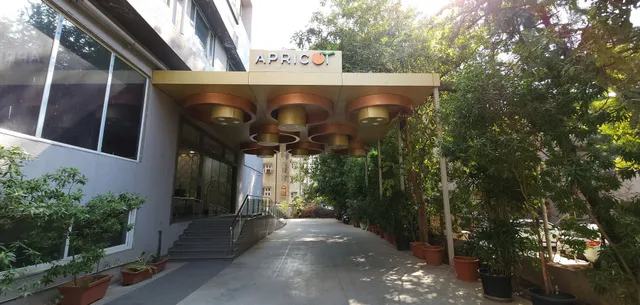 APRICOT HOTEL