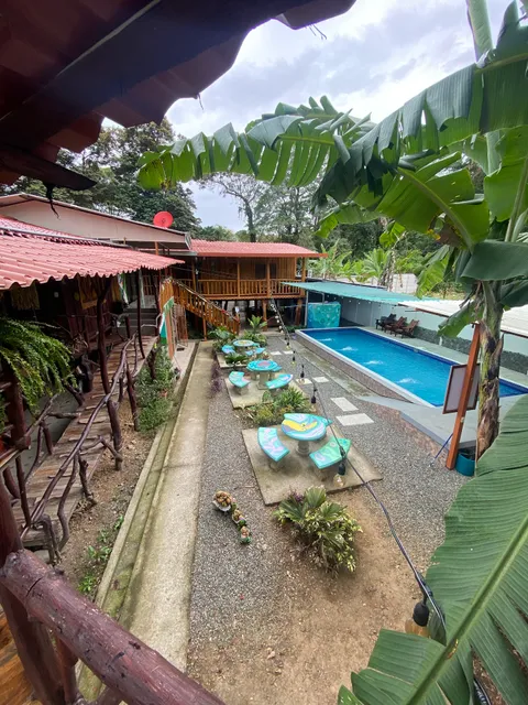 Tree house Samanea lodge