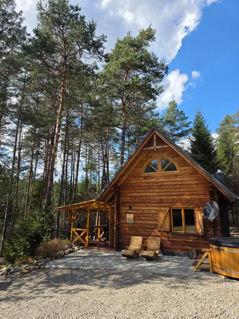 Smerekowiec domek w lesie