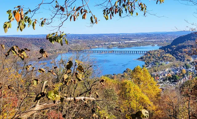 Hamer Woodlands at Cove Mountain Preserve
