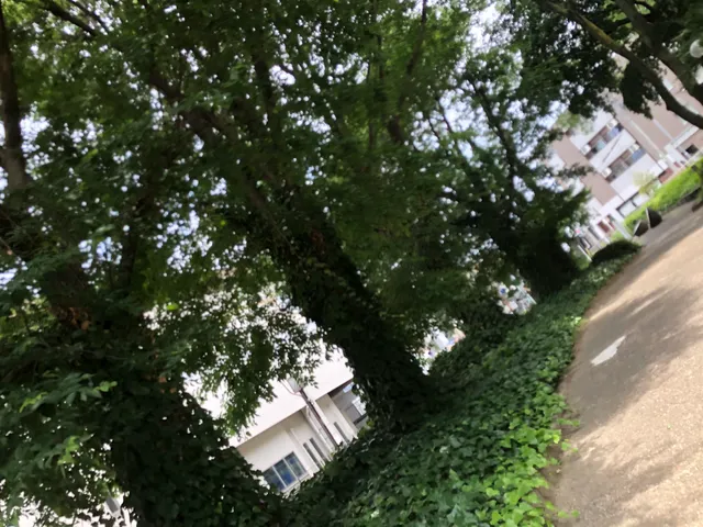 photo-3